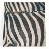 Black and white close-up photo of a zebra on stretched canvas, ideal for kitchen wall art or bedroom decor.