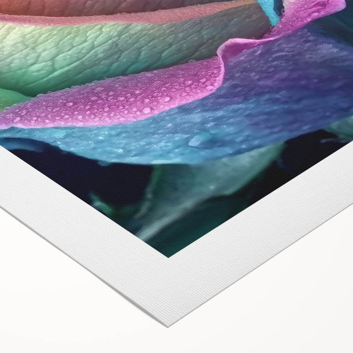 Art deco poster featuring close-up floral designs in soft pastel colors on rolled canvas, ideal for dining room wall art.