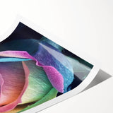 Extra large wall art featuring line art flowers in black and white on a rolled print, suited for large living room decor.