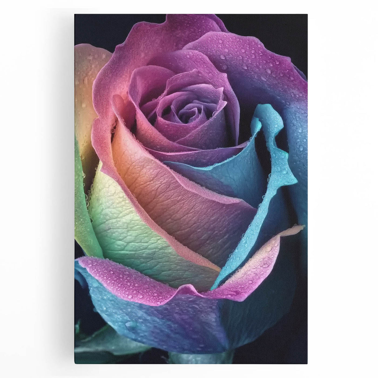 Black and white close-up floral photography on stretched canvas, suited for kitchen wall art.