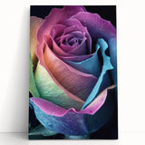 Black and white close-up floral photo on stretched canvas, suitable as large kitchen or bedroom wall art.