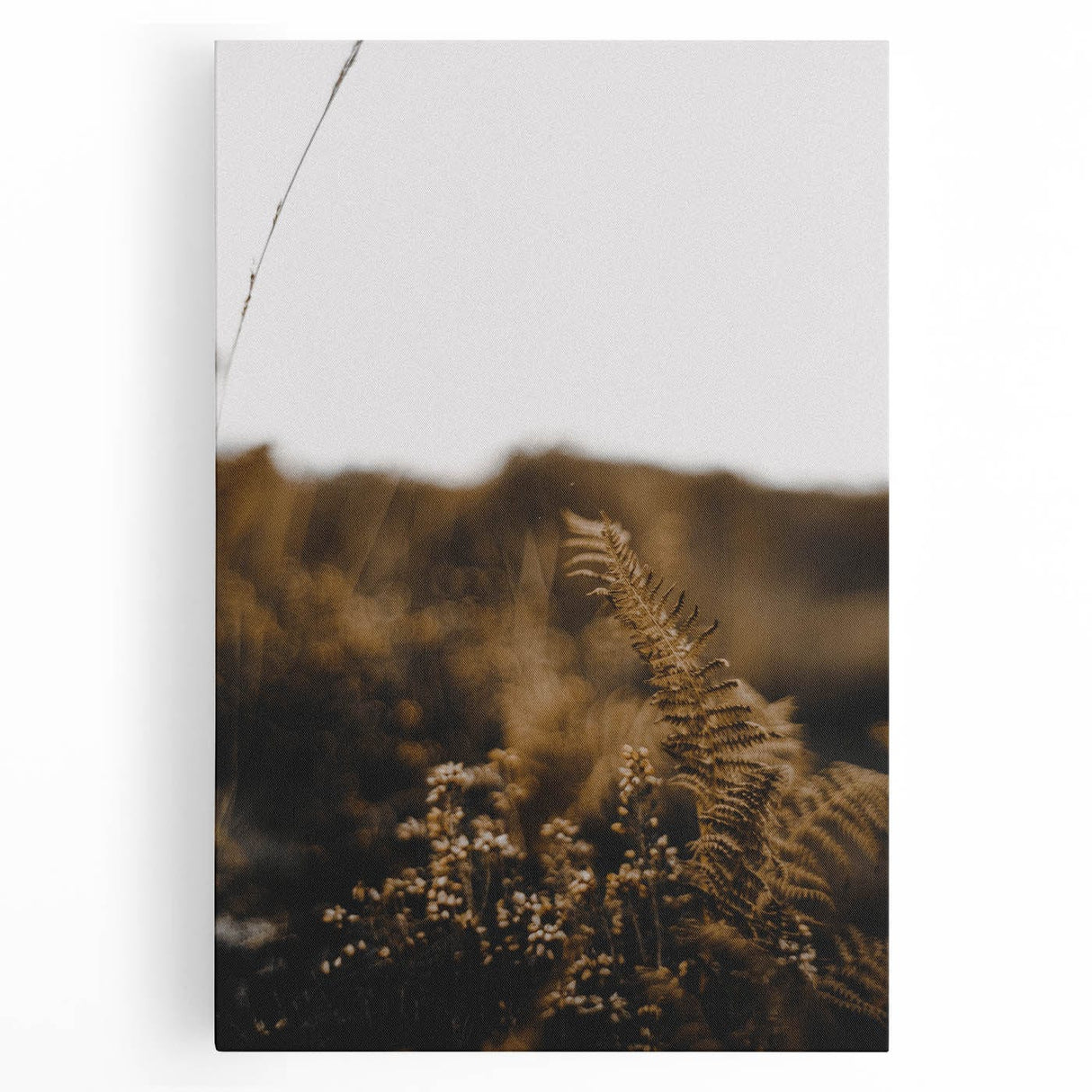 Black and white large art print of autumn trees on stretched canvas, suitable for kitchen wall art.