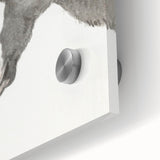 Romanticism Art: Horse Portrait by Jean Bernard Canvas Print