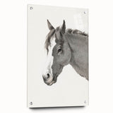 Romanticism Art: Horse Portrait by Jean Bernard Canvas Print