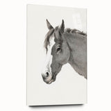 Romanticism Art: Horse Portrait by Jean Bernard Canvas Print