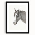 Romanticism Art: Horse Portrait by Jean Bernard Canvas Print