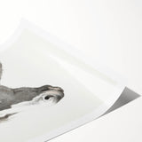 Romanticism Art: Horse Portrait by Jean Bernard Canvas Print