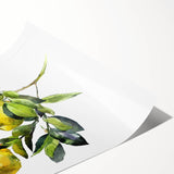 Extra large wall art featuring line art flowers in muted tones on rolled print, suitable for large living room decor.