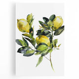 Black and white stretched canvas featuring a large, detailed illustration of assorted fruits, ideal for kitchen wall art.