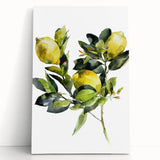 Large black and white stretched canvas featuring a variety of fruits, ideal for kitchen wall art.