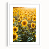 Countryside landscape framed artwork with a white mat, showcasing vibrant green fields and a serene blue sky, perfect for home decor or office settings.