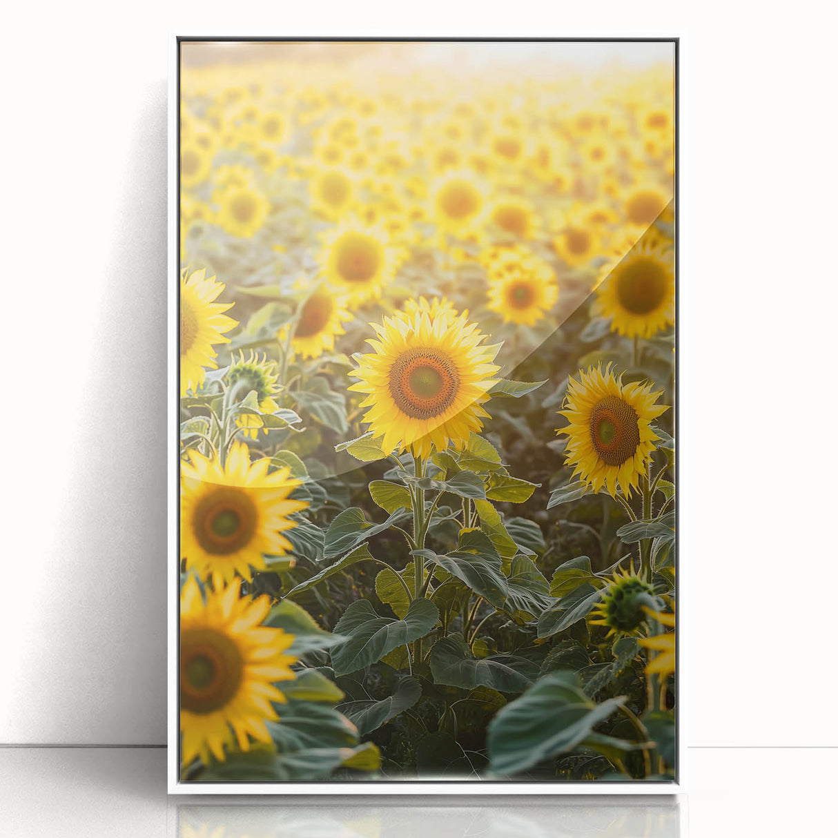 Framed acrylic artwork showcasing a serene countryside landscape with rolling hills and lush greenery, set against a crisp white frame, ideal for home decor.