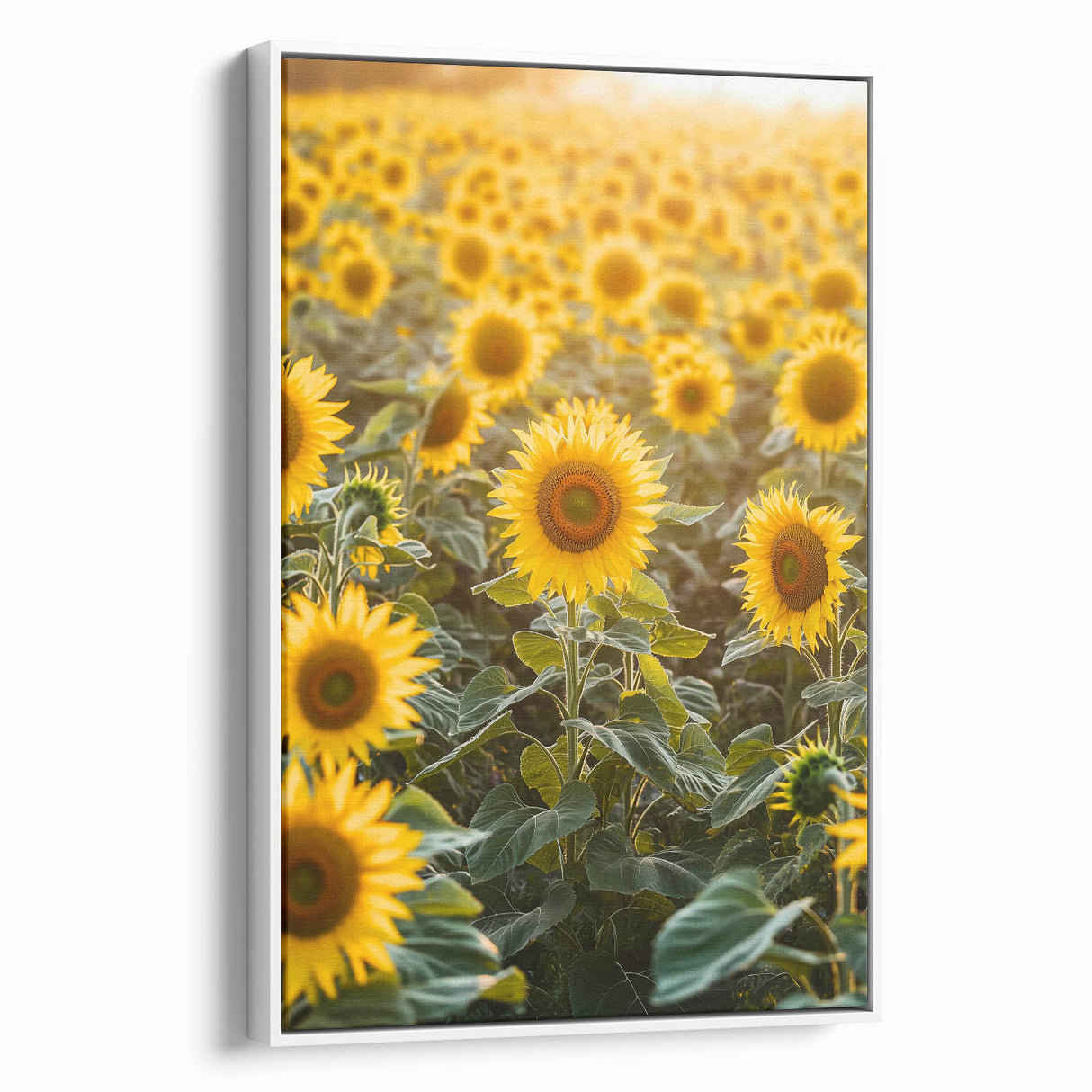 Framed canvas artwork depicting a serene countryside landscape, showcasing rolling hills and lush greenery, presented in a stylish white frame for an elegant touch.
