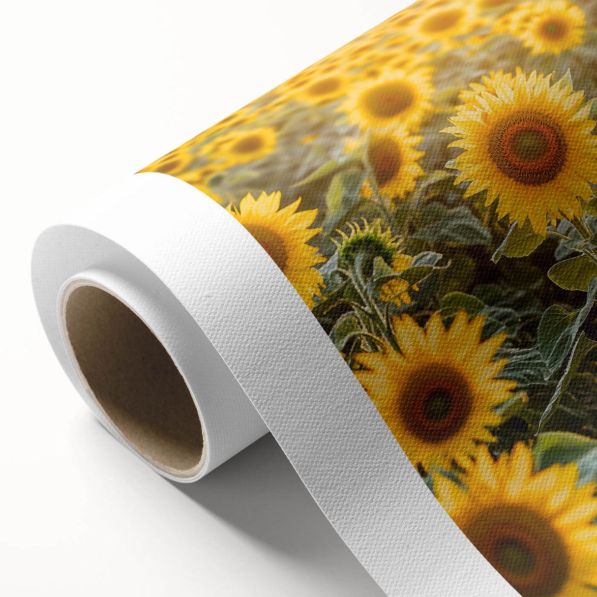 Rolled canvas print showcasing a serene countryside landscape with lush green fields and a clear blue sky, elegantly packaged in a protective cardboard tube for shipping.