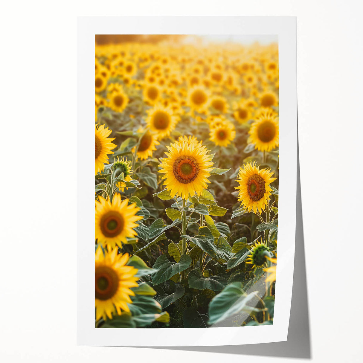 Rolled print showcasing a serene countryside landscape with lush green fields and a vibrant blue sky, elegantly packaged in a protective cardboard tube. Ideal for home decor.