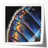 Extra large floral art print on glossy photo paper, featuring a close-up of vibrant pink flowers.