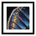 Extra large abstract art print featuring colorful, textured close-ups of animals, framed in black.