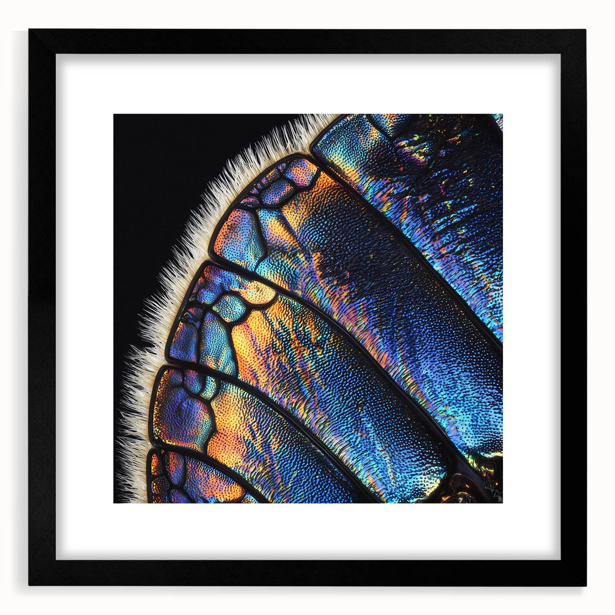 Extra large abstract art print featuring colorful, textured close-ups of animals, framed in black.