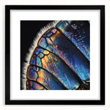 Extra large abstract art print featuring colorful, textured close-ups of animals, framed in black.