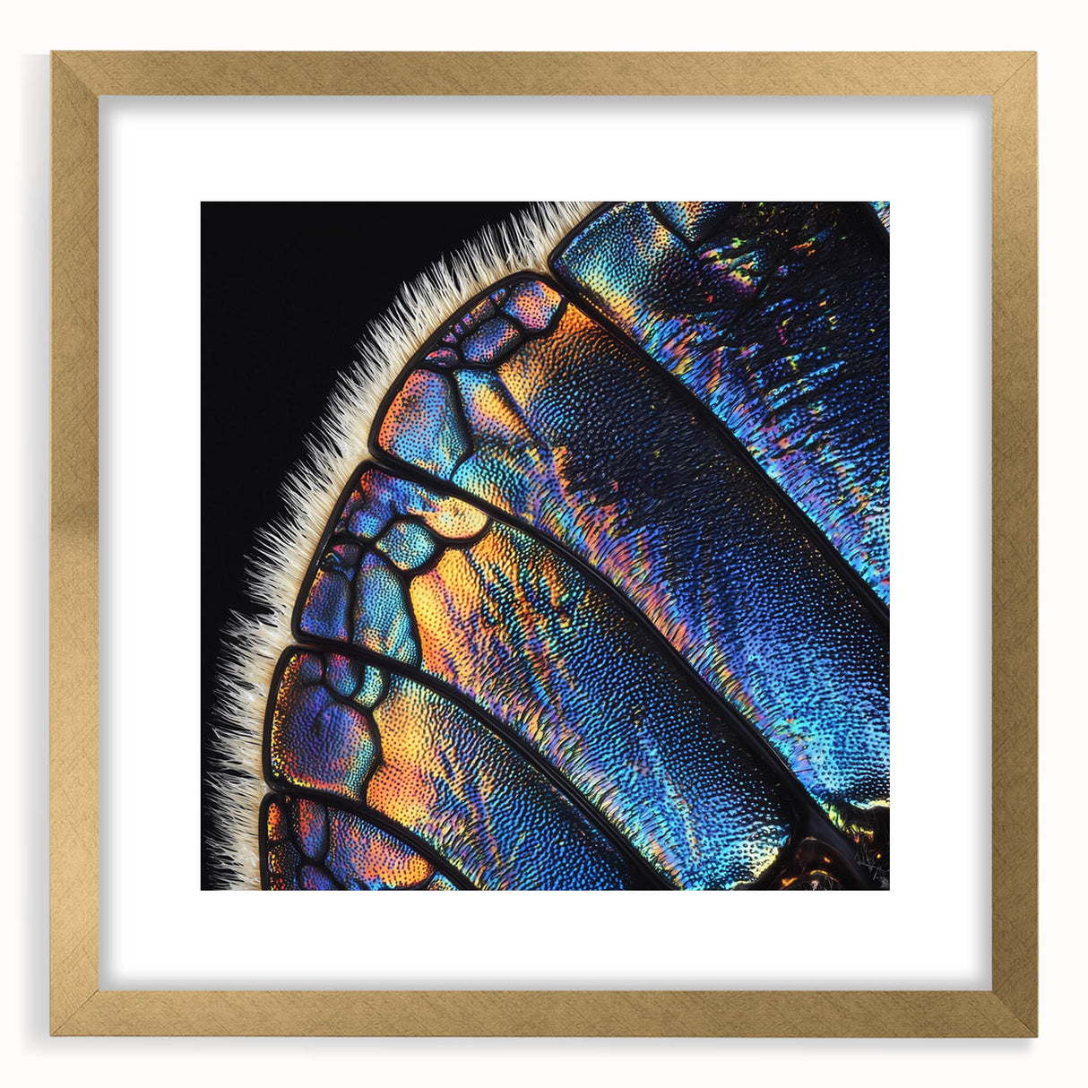 Extra large abstract art print featuring textured patterns in gold and beige, framed with a mat, ideal for living room decor.