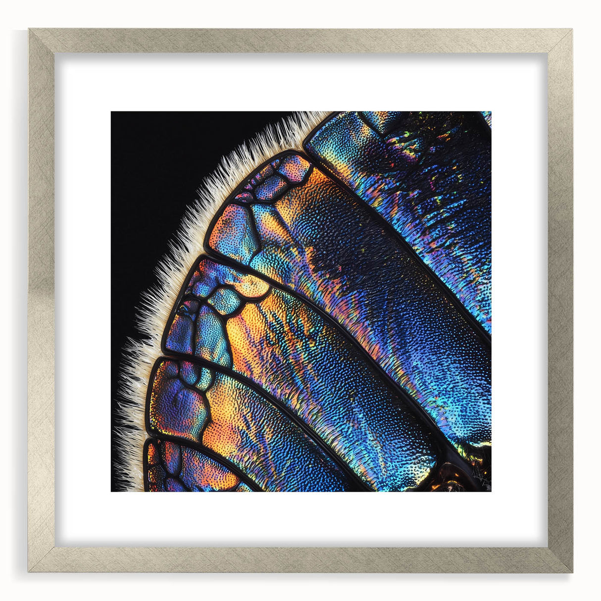 Textured art print of abstract animal close-up in silver frame, ideal for modern bedroom decor.