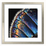 Textured art print of abstract animal close-up in silver frame, ideal for modern bedroom decor.
