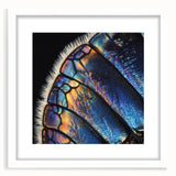 Abstract art print featuring close-up animal motifs in muted earth tones on a white framed canvas.