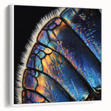 Vintage poster art featuring a close-up of an animal on framed canvas, with vibrant colors against a black background.