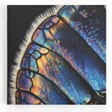 Black and white close-up photo of a zebra on stretched canvas, ideal for kitchen wall art.