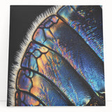 Large black and white photo of a zebra on stretched canvas, ideal for kitchen wall art or bedroom decor.