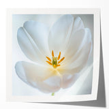 Close-up floral art on glossy photo paper, featuring vibrant greens and pinks, suitable for dining room or bathroom decor.