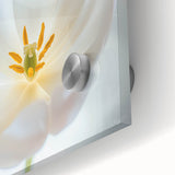 Large abstract floral print in vibrant colors on acrylic glass, ideal for dining room art in a mid-century modernist style.