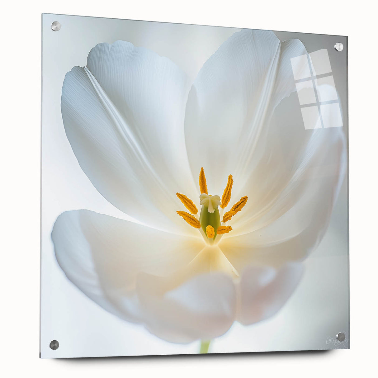 Large abstract floral design in vibrant colors on acrylic glass, suitable for bedroom or dining room decor.