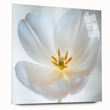 Large abstract floral design in vibrant colors on acrylic glass, ideal for bedroom or dining room decor.