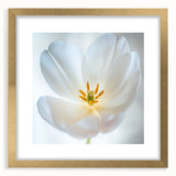 Extra large abstract art print featuring textured floral patterns in gold tones, framed with mat.