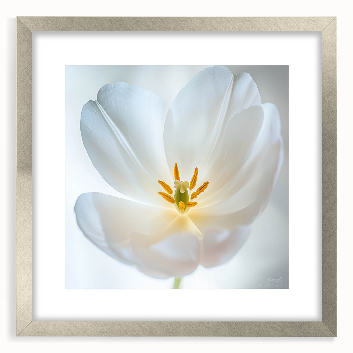 Textured art featuring close-up of florals in muted green and white tones, framed with a silver mat.