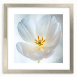 Textured art featuring close-up of florals in muted green and white tones, framed with a silver mat.