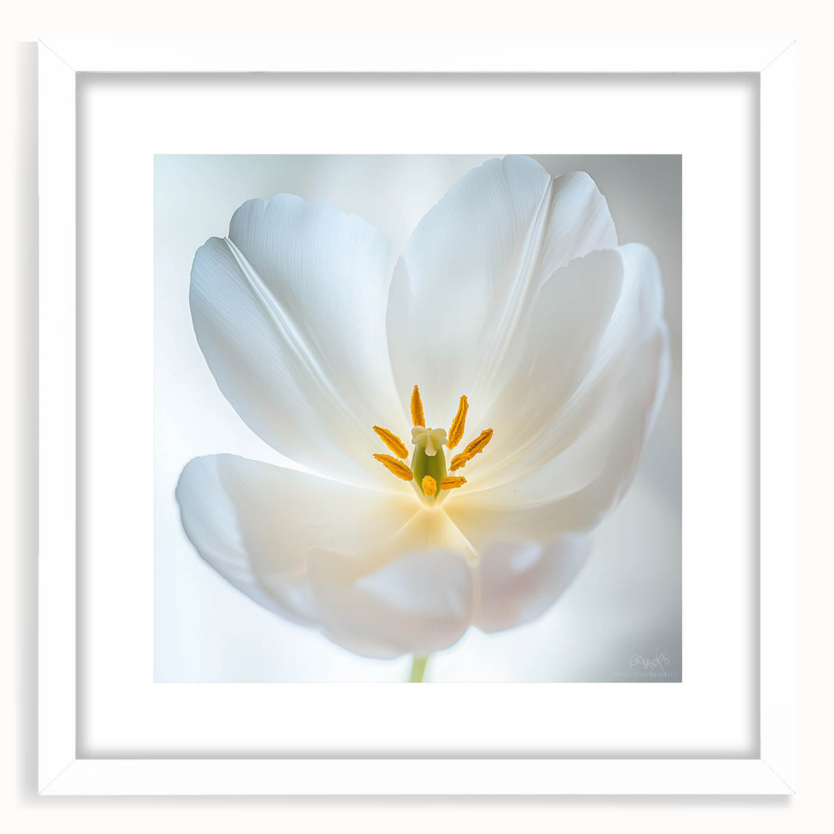 Abstract art print of delicate florals in soft pastel shades, framed in white, ideal for bedroom or dining room decor.
