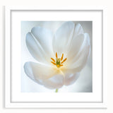 Abstract art print of delicate florals in soft pastel shades, framed in white, ideal for bedroom or dining room decor.