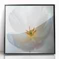 Large abstract wall art featuring close-up floral designs in vibrant colors, framed in black acrylic.