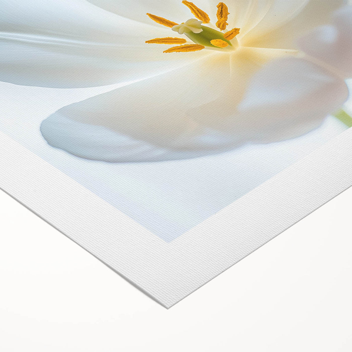 Art deco poster of stylized florals in muted gold and white tones on rolled canvas, suitable for dining room wall art.