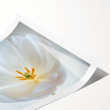 Extra large rolled print featuring line art flowers in black and white, ideal for large living room wall art.