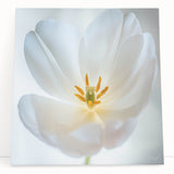 Black and white close-up floral image on large stretched canvas, ideal for kitchen wall art or bedroom ambiance.