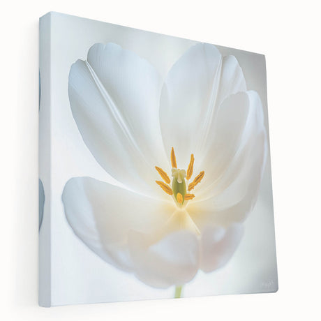 Close-up floral imagery on a large stretched canvas with vivid green and pink tones, suitable for kitchen wall art.