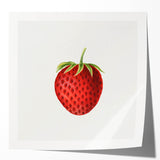 Vintage Botanical Strawberry Print | Realism Strawberry Art Illustration
