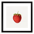 Vintage Botanical Strawberry Print | Realism Strawberry Art Illustration