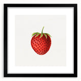 Vintage Botanical Strawberry Print | Realism Strawberry Art Illustration