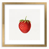 Vintage Botanical Strawberry Print | Realism Strawberry Art Illustration