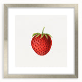 Vintage Botanical Strawberry Print | Realism Strawberry Art Illustration