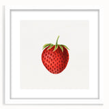 Vintage Botanical Strawberry Print | Realism Strawberry Art Illustration